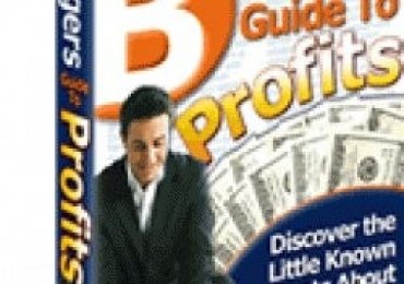 Bloggers Guide To Profits