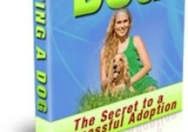 Adopting A Dog