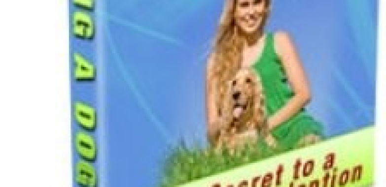 Adopting A Dog