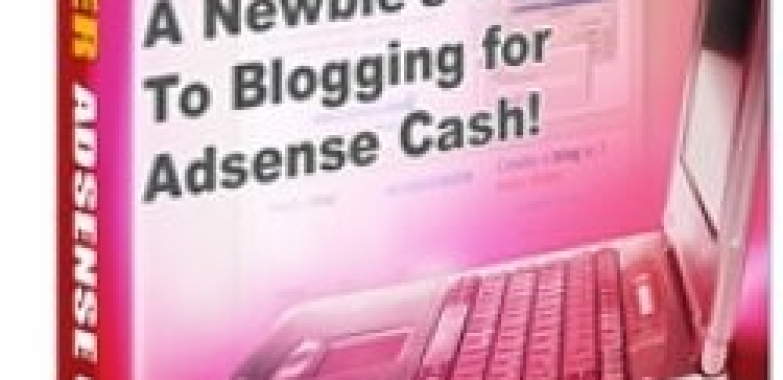 Blogger Adsense Guide