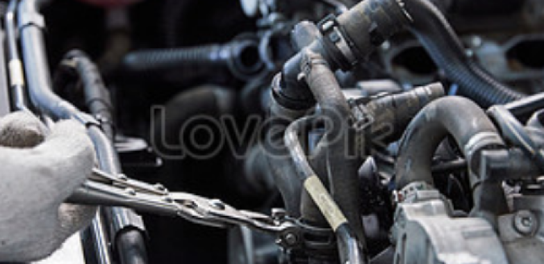 Premium Auto Parts Store