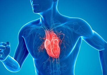 Affordable Heart Treatment in Jaipur