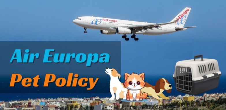 Are you looking for Air Europa’s Pet Policy?