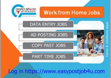 Online Data Entry Job Work from Home