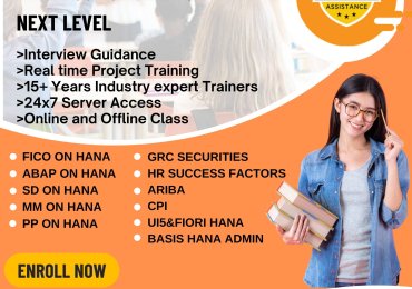 Avina Technologies-Best SAP FICO, MM, SD, Ariba, BASIS, ABAP, HR, PP, Security GRC, HANA Training institute in Hyderabad