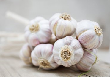 Benefits of Garlic For Health