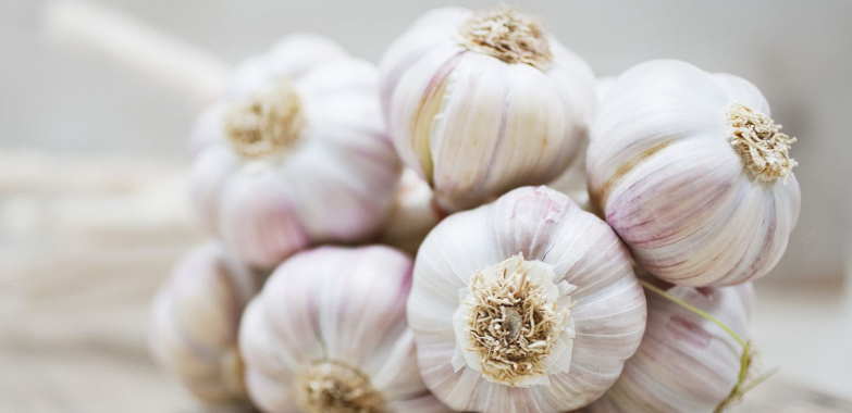 Benefits of Garlic For Health