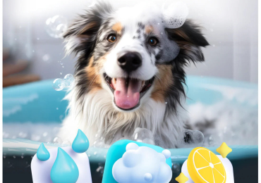 Dog sprayer with soap dispenser – Super Soaper