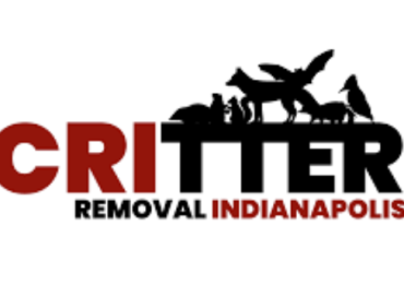 Expert Wildlife Pest Control Services in Indianapolis