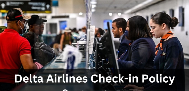 Delta Airlines’ Online Check-In Made Easy