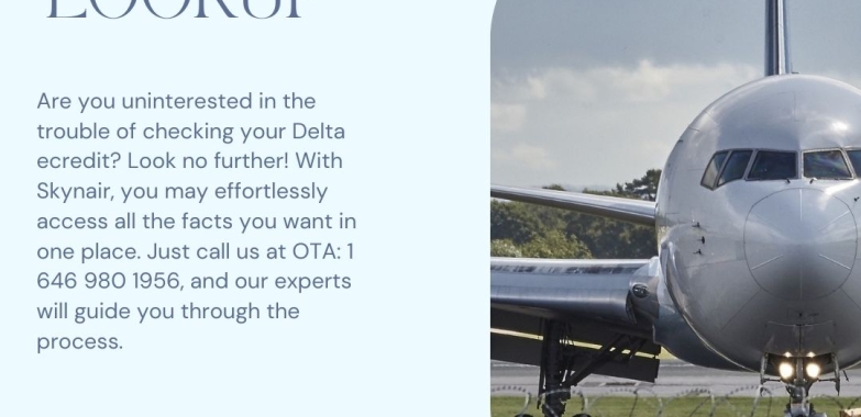 How to Use a Delta eCredit?