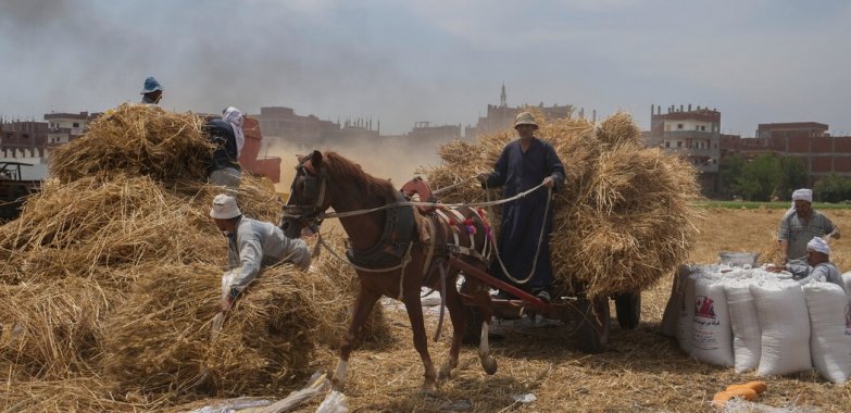 Food Supply Disruption Is Another Front for Russian Falsehoods