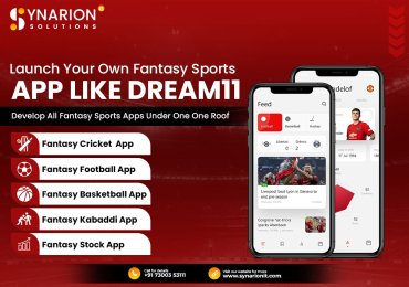 Launch Your Own Fantasy Sports App Like Dream11