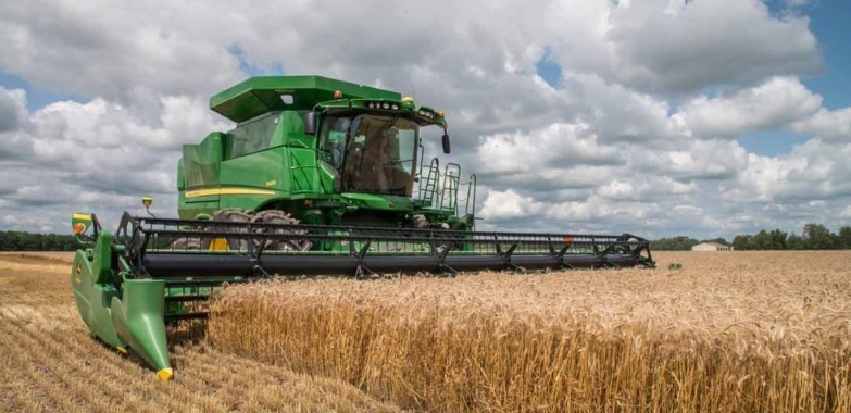 Free Search the Asia Pacific Wheat Prices