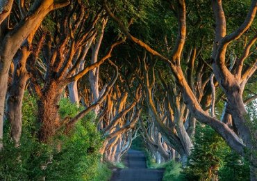 Game of Thrones Tours by Belfast Transfers and Tours