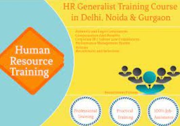 HR Certification Course in Delhi, 110031 with Free SAP HCM HR Certification  by SLA Consultants Institute in Delhi, NCR, HR  Analytics Certification [100% Placement, Learn New Skill of ’24] New FY 2024 Offer, get Axis HR Payroll Professional Training,