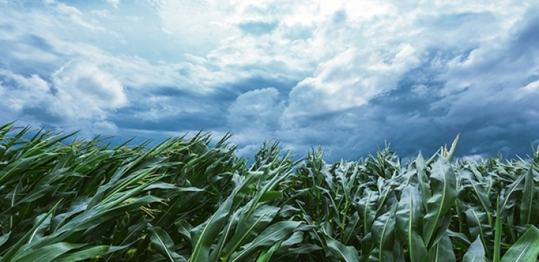 Discover the Hidden Climate Patterns with Us