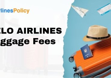 Silver Airways baggage policy