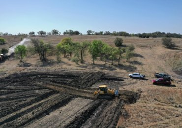 Dallas Land Clearing