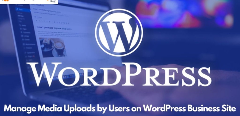 Manage Media Uploads by Users on WordPress Business Site