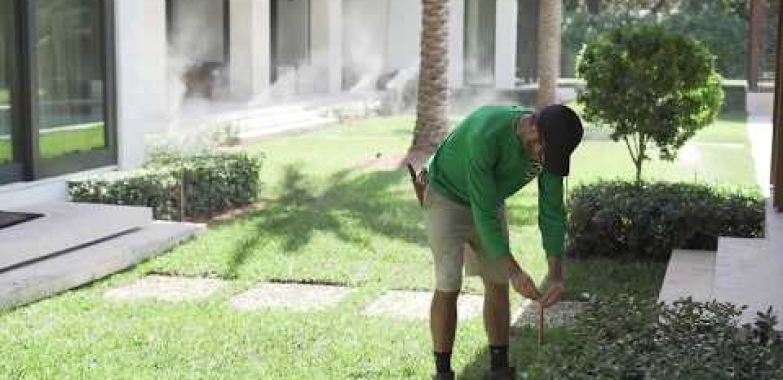 Mosquito System For Backyard