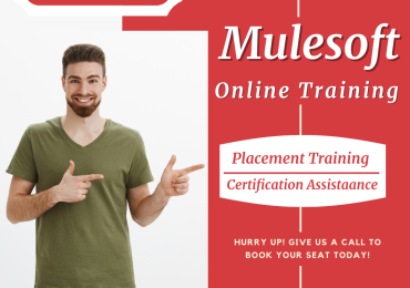 Mulesoft Training With Live Project & Certification Assistance