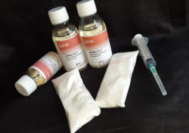 Nembutal Oral and injectables solution 50ml, 100ml and 250ml for sale