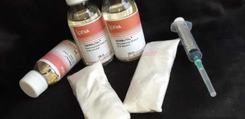 Nembutal Oral and injectables solution 50ml, 100ml and 250ml for sale