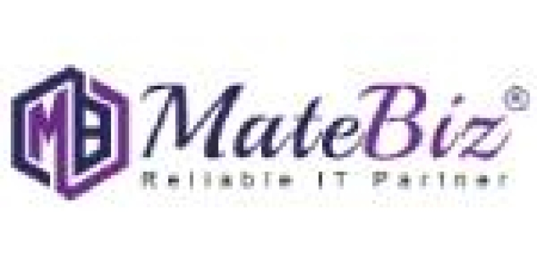 Matebiz Pvt. Ltd: Your Trusted Digital Marketing Agency and IT Partner