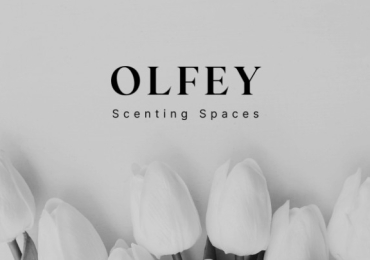 Best Essential Oil Diffuser Dubai – Olfey