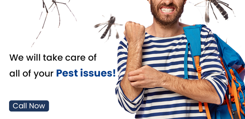 Pest Control Services in Bangalore – Keerthisecurity.in
