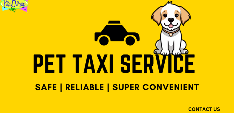 On-the-Go Comfort: Explore Our Pet Taxi Services for Happy Pets