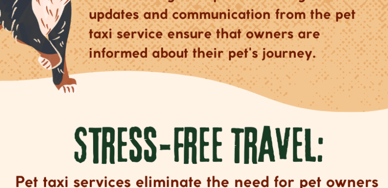 Convenient and Safe Pet Transportation with Pawnanny Pet Taxi Services