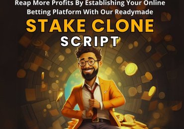 Stake Clone Script: The Foundation of Your Successful Crypto Casino