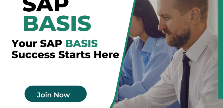 Best SAP BASIS training institute in Hyderabad