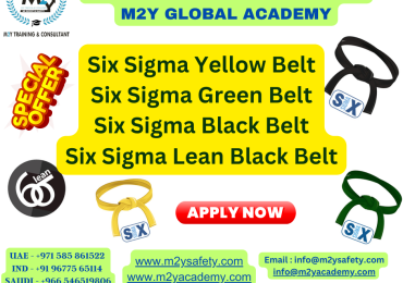 Best Six Sigma Certification Courses – M2Y Training and Consultant