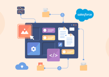 Salesforce Development Services