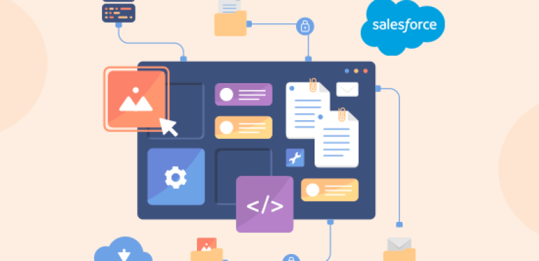 Salesforce Development Services