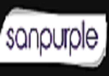 Best Software Development Agency In Pune – Sanpurple