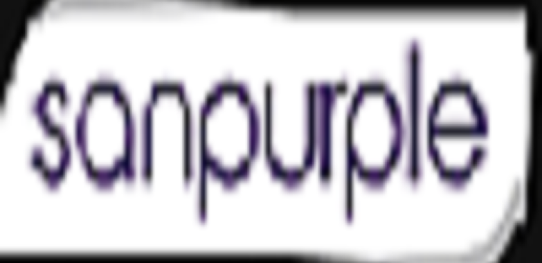 Best Software Development Agency In Pune – Sanpurple