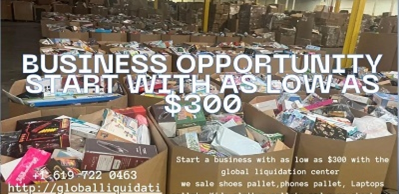 Business Opportunity with as Low as $300