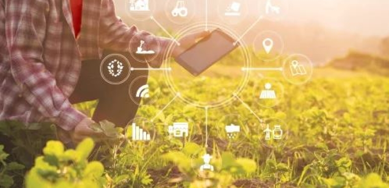 Software For Growers