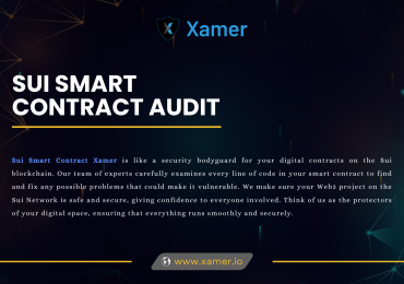 Ensuring Trust and Security with Sui Smart Contract Audit