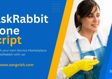 How to Choose the Best TaskRabbit Clone App?