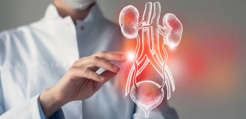 Comprehensive Care for Your Health Kidney Stone Treatment in Bangalore