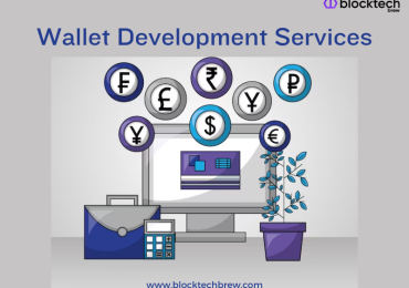 Wallet Development Services – Customized for Your Business