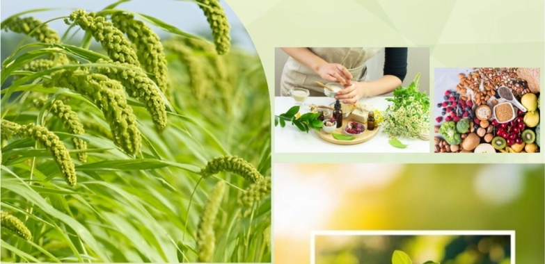 Organic Expo