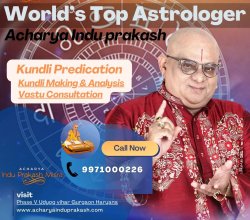 world’s best astrologer | kundli matching