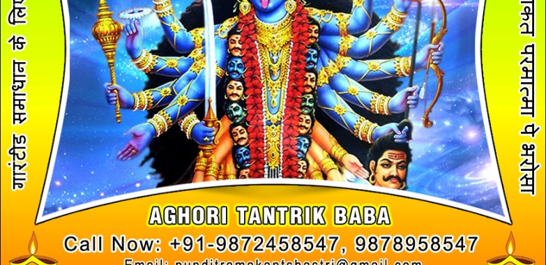 Indian Vashikaran Specialist