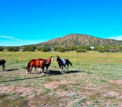 Guadalupe County TX Land Broker | Sell Ranches & Farms Fast